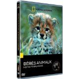 Bebes Animaux : Les Ongules (occasion)