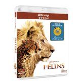 Felins - Inclus Le Documentaire Pollen (occasion)