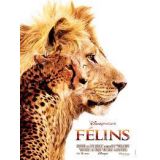 Felins (occasion)