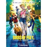 Birds Of Prey Et La Fantabuleuse Histoire De Harley Quinn (occasion)