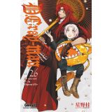 D Gray Man Tome 26 (occasion)