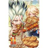 Dr Stone Tome 11 (occasion)