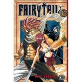 Fairy Tail Tome 12 (occasion)