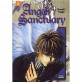 Angel Sanctuary Tome 6 (occasion)